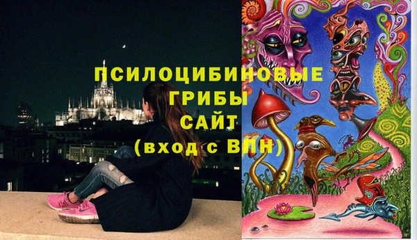 спиды Алексин