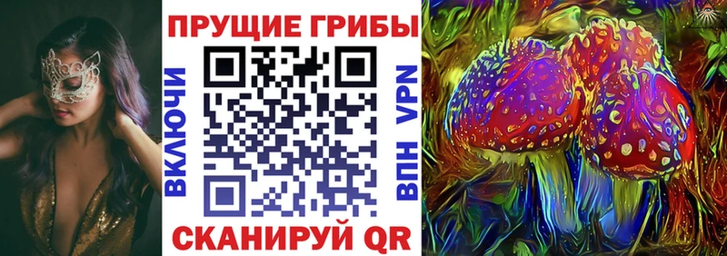 продажа наркотиков  Прохладный  Галлюциногенные грибы Psilocybe 